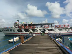 Fiesta & Bonanza yachts
