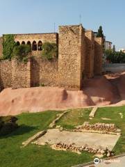 Carthusian of Vallparadís Castle