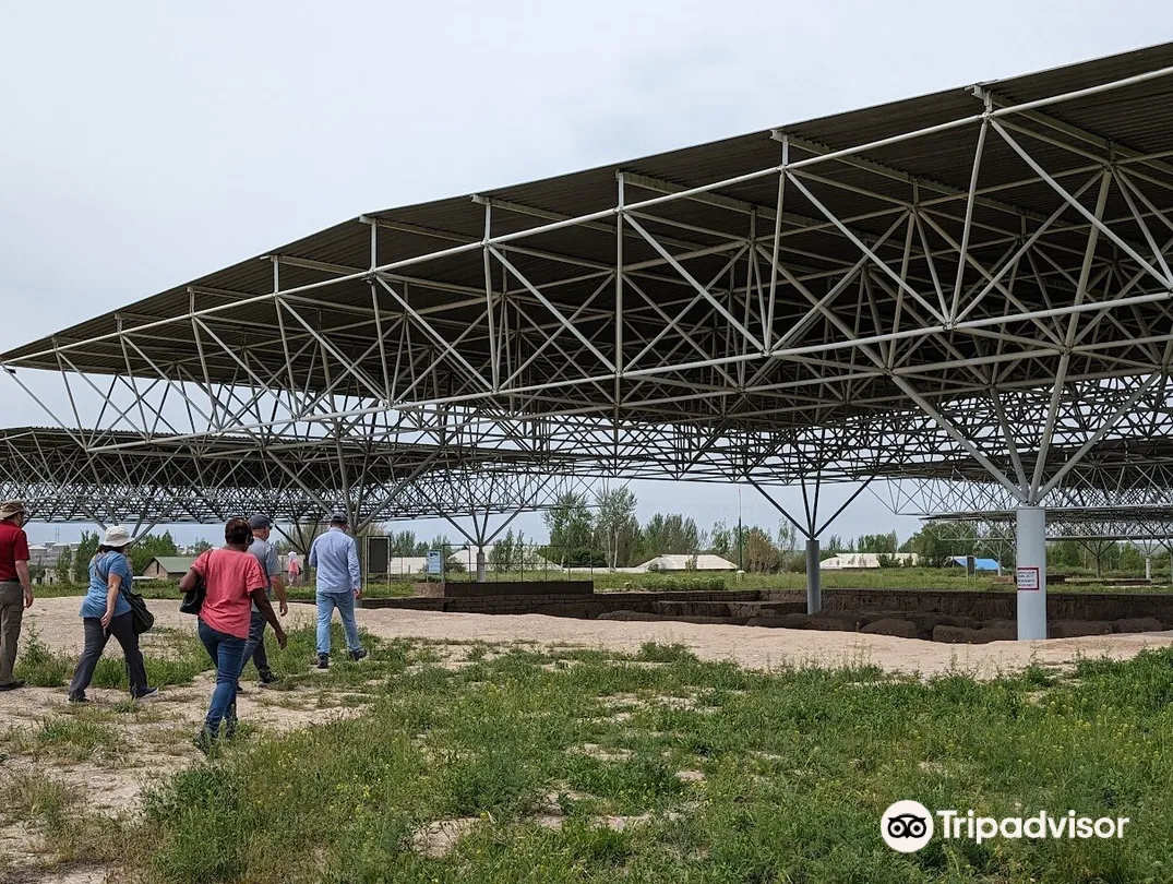 4_Proto-urban site of Sarazm