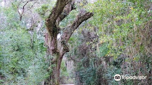 Village Point Park Preserve