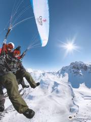 Air-Davos Paragliding