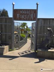 Cougar Mountain Zoo