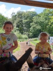 Smithills Open Farm