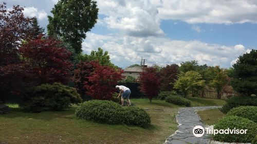 Japanese Garden Pisarzowice