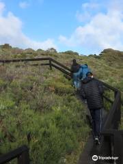 Cape Naturaliste Walking Trails