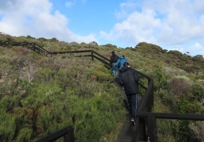 Cape Naturaliste Walking Trails