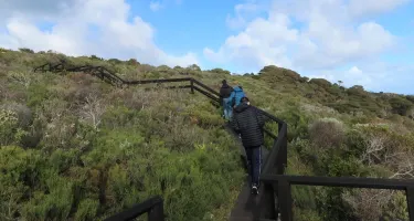 Cape Naturaliste Walking Trails