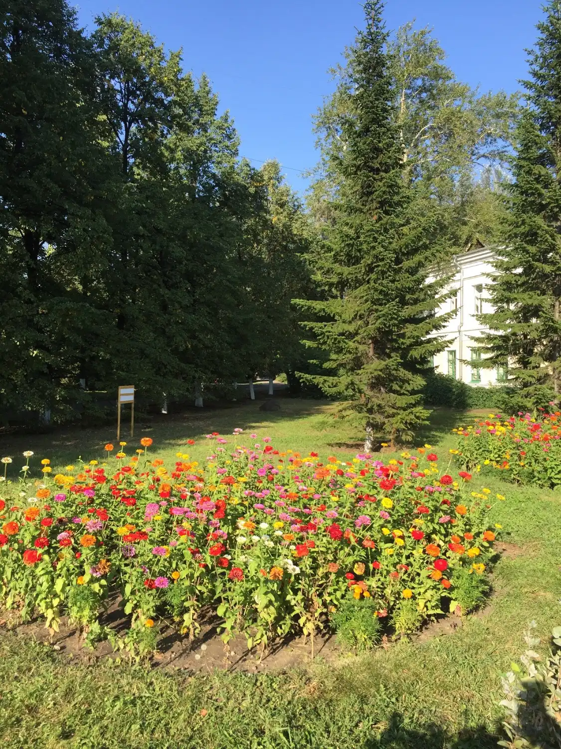 Hotels near Botanical Garden of Plotnikov in Omsk State Agrarian University