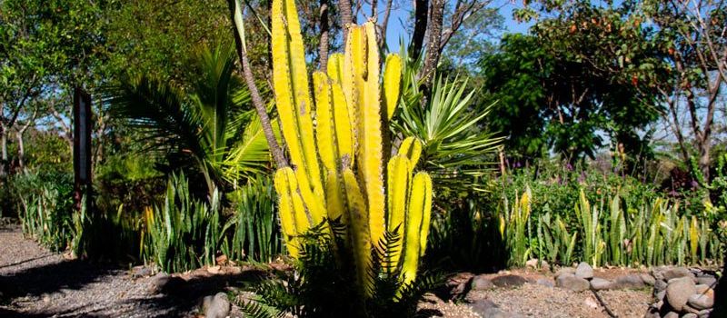 Itarar Ecological Park