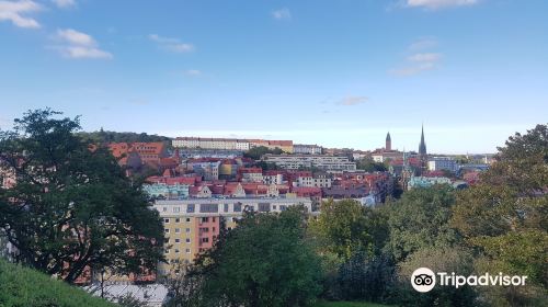 Skansen Lejonet