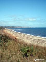 East Durham Coast