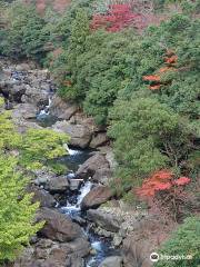 Futasegawa Mountain Stream