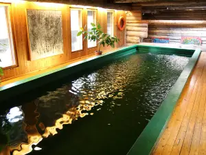 Sarestoniemi Museum