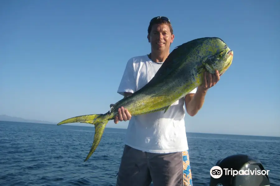 The Baja Big Fish Company