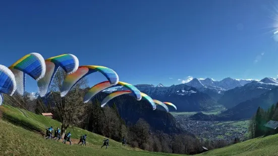 Twin Paragliding Interlaken