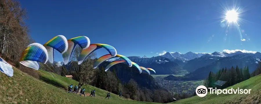 Twin Paragliding Interlaken
