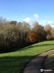 Brockhill Country Park