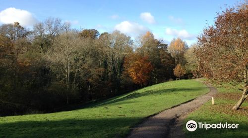 Brockhill Country Park