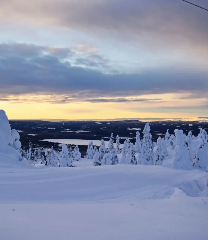 Sjusjoen
