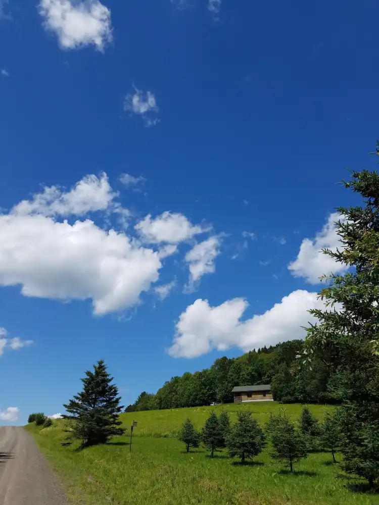 فنادق في Westford