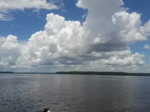 Lake Talquin State Forest