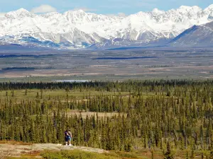 Denali Jeep Excursions