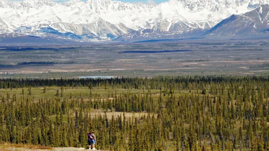 Denali Jeep Excursions