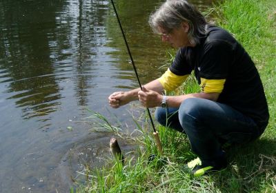 Trout Creek Farm & Eha Sports