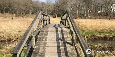 Baldersbaek plantage