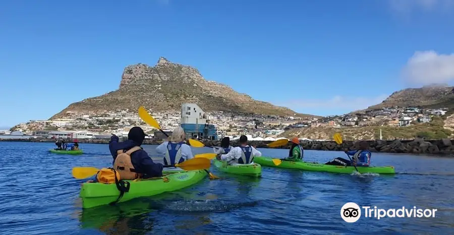 Cape Town Bucket List
