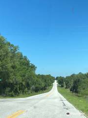 Florida Best Blueberry Farm