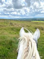 Sheans Horse Farm