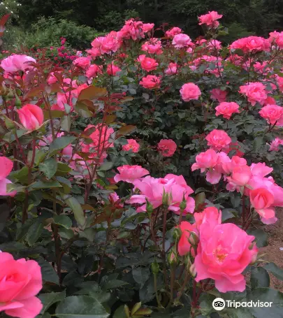 22加茂市旅遊攻略 加茂市好去處 加茂市觀光景點22 Trip Com