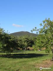 Potager Mont-Rouge Halte Gourmande | Verger & Boutique | Orchard & Boutique