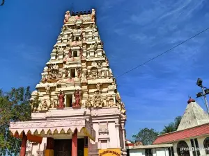 Bhubaneshwari Temple