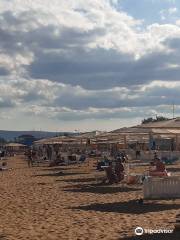 Family Beach of the Hotel Alyye Parusa