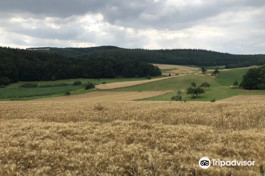 Traumpfad Höhlen- und Schluchtensteig