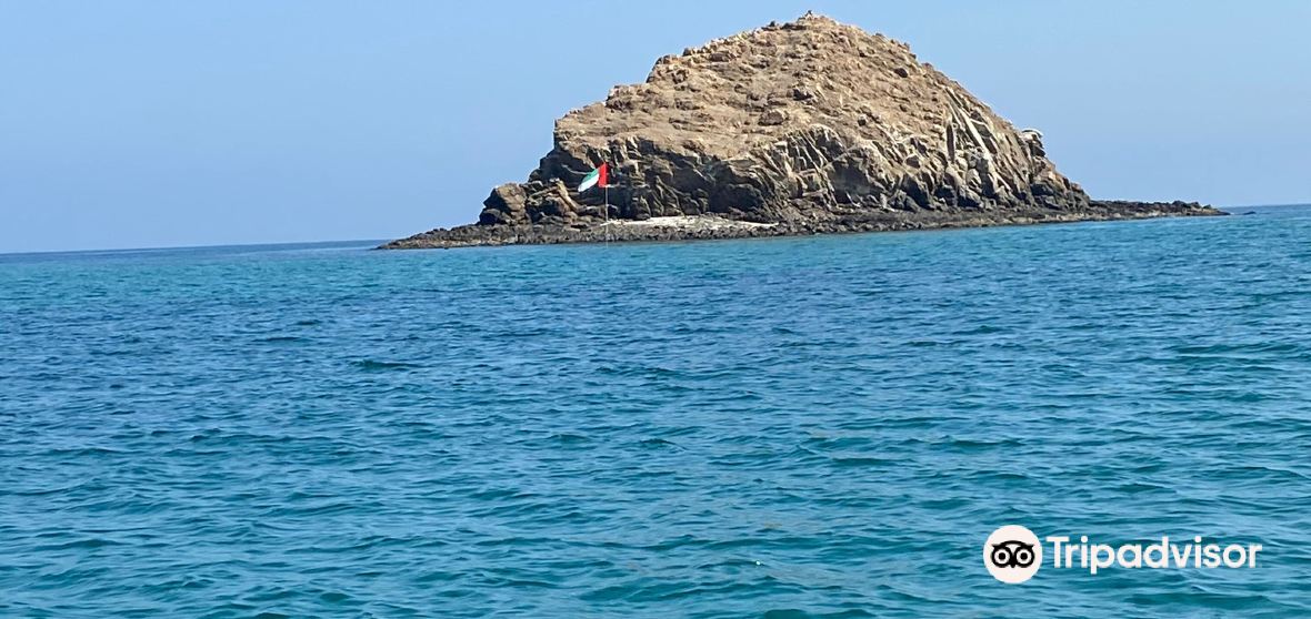 Things to Do in Dibba Al-Fujairah in 2024 - Top Attractions, Local Food ...