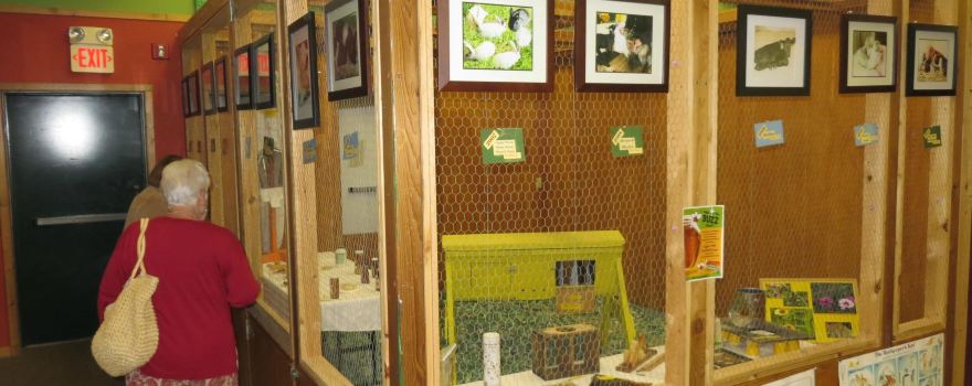 Northwoods Childrens Museum