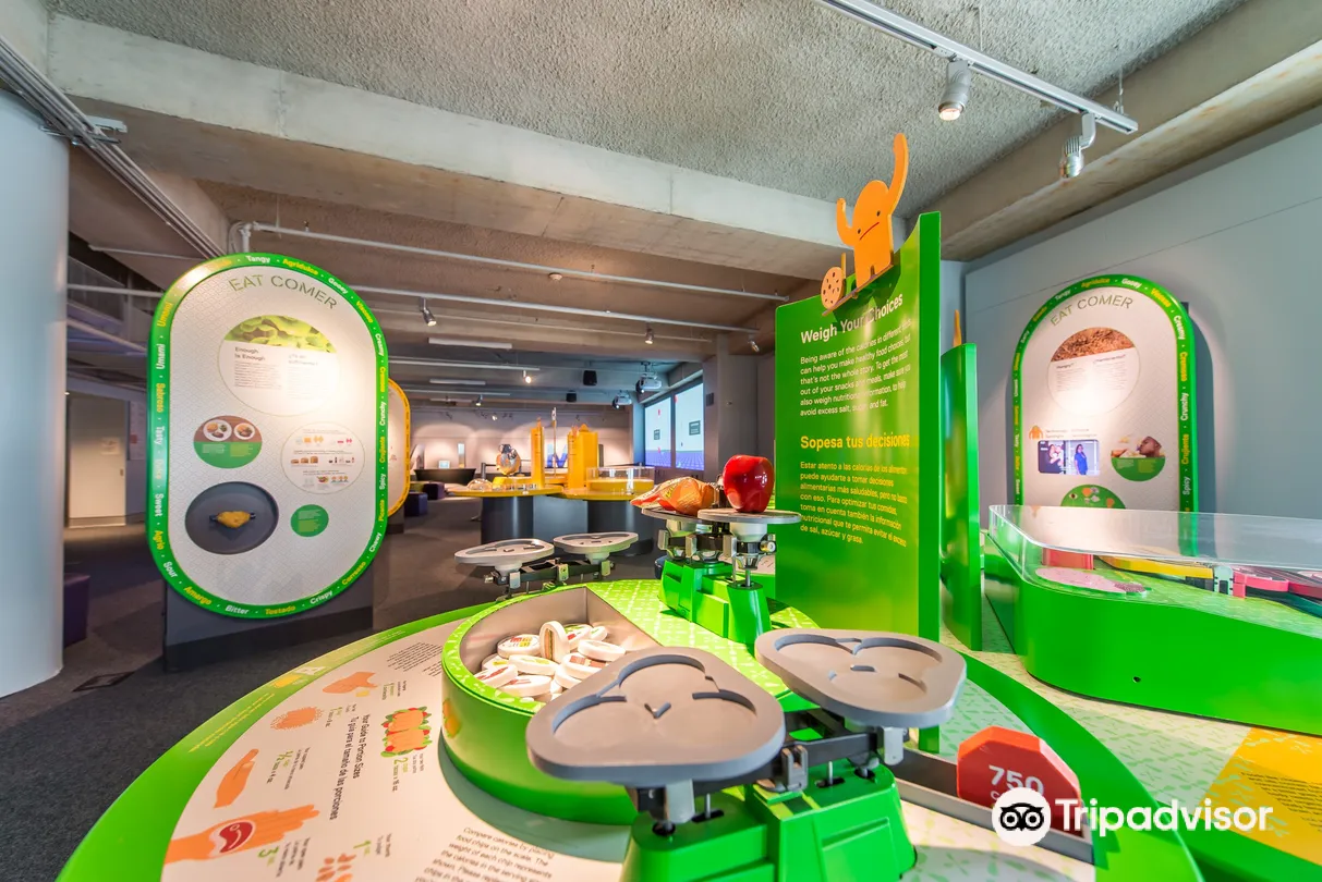 2_Phillip & Patricia Frost Museum of Science