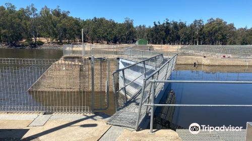 Torrumbarry Weir