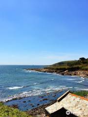 Wembury Beach