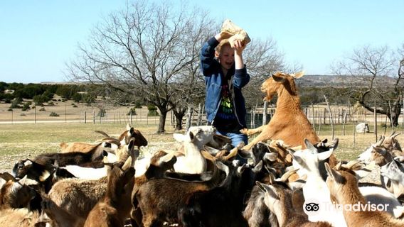 Topsey Exotic Ranch & Park