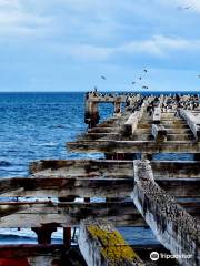 Costanera de Punta Arenas