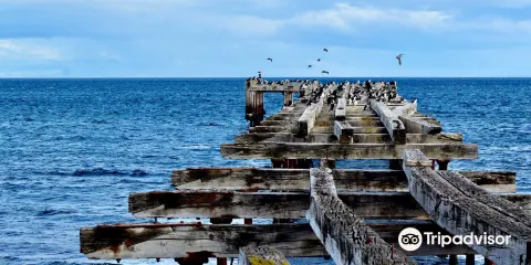 Costanera de Punta Arenas