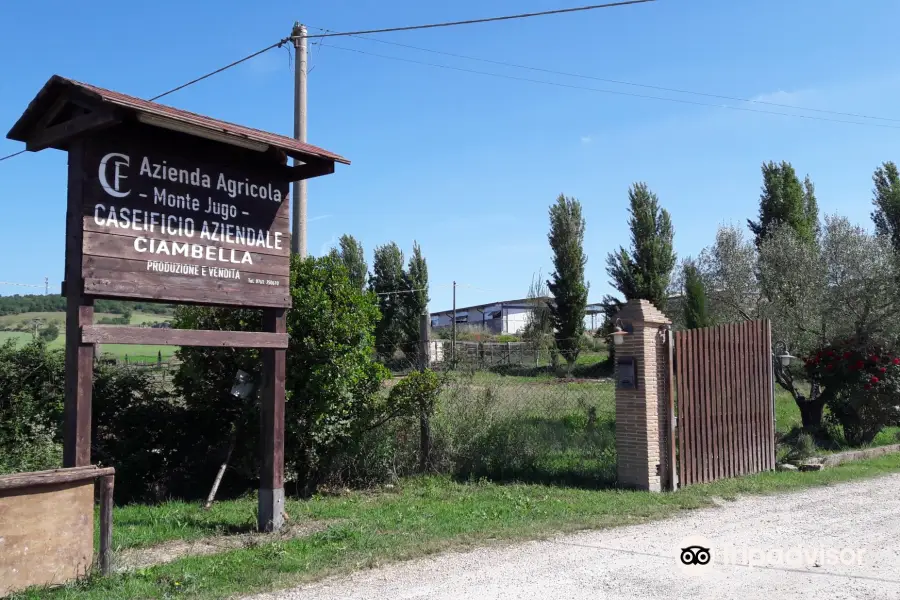 Azienda Agricola Monte Jugo