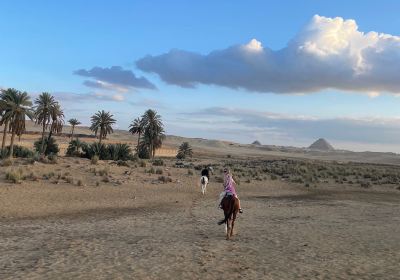 Cairo Horse Riding School