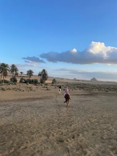 زاوية أبو مسلم