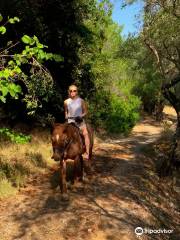 Island Horse Riding Paleokastritsa Corfu