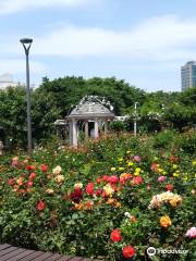 中浪薔薇公園